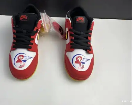 SB Low Nike Dunk 25th years 309242-307 0621